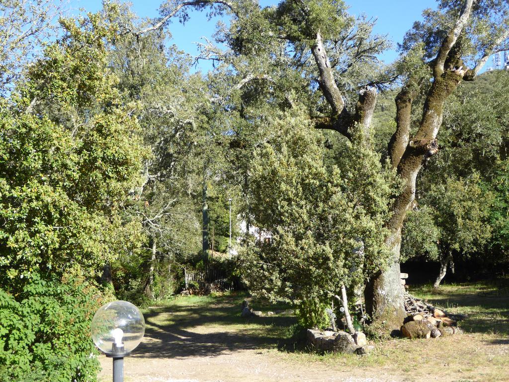 ヌーオロ Casa Solottiゲストハウス エクステリア 写真